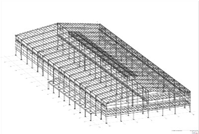 TANZANYA ÜRETİM TESİSİ